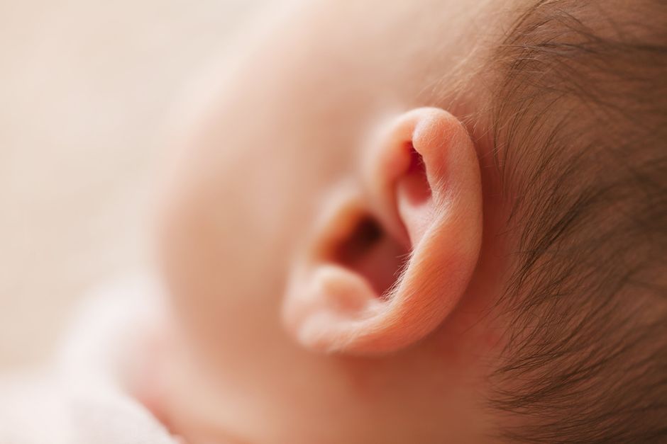 Hearing Aids vs Amplifiers: What’s the Difference?